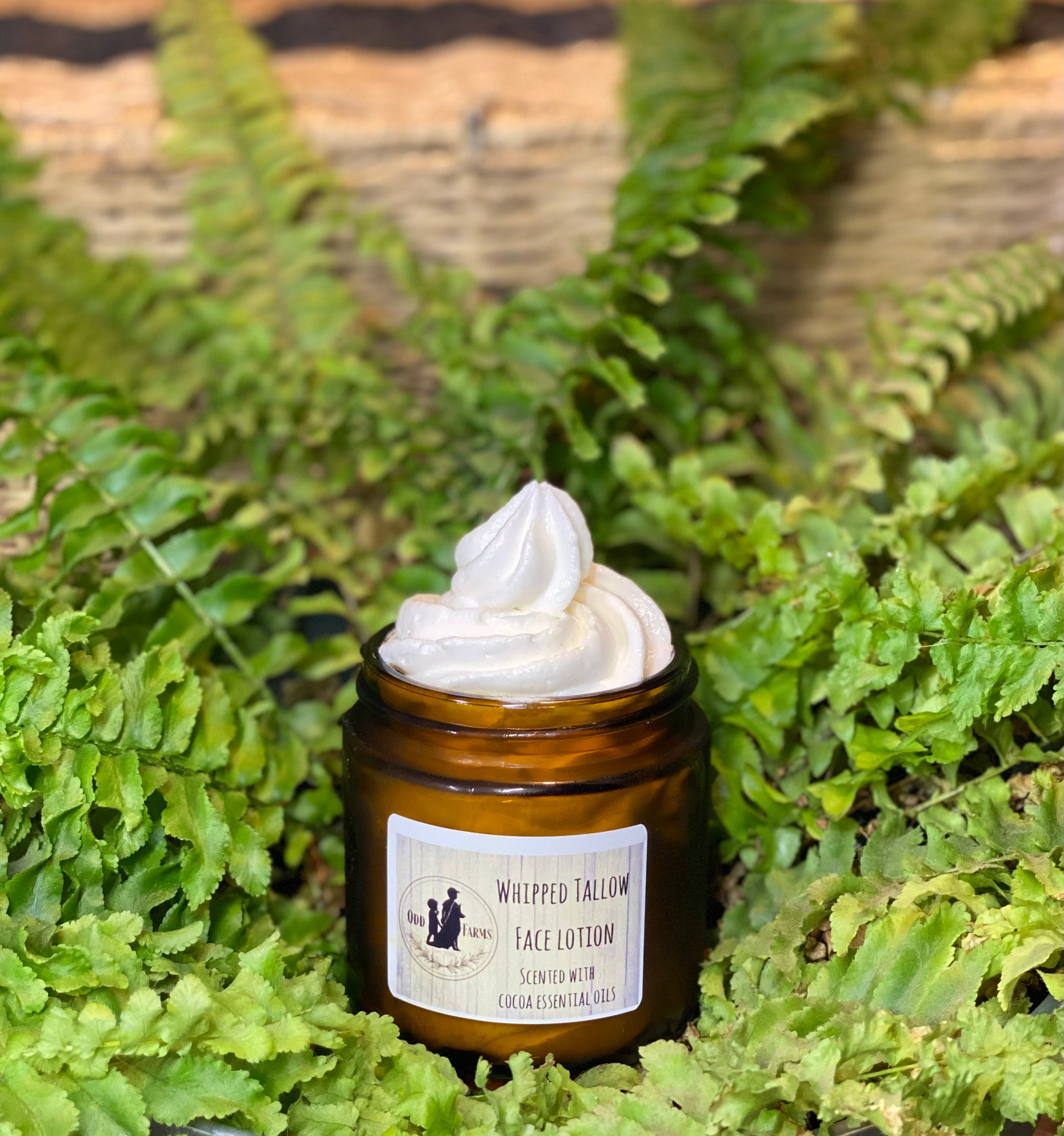 Whipped Tallow Face Lotion